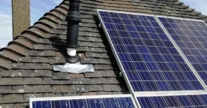 Solar Panel Bird Proofing in Kent: Protect Your Investment the Smart Way