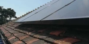 Solar Panel Bird Proofing in Kent: Protect Your Investment the Smart Way