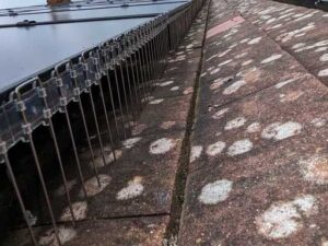 Solar Panel Bird Proofing in Kent: Protect Your Investment the Smart Way