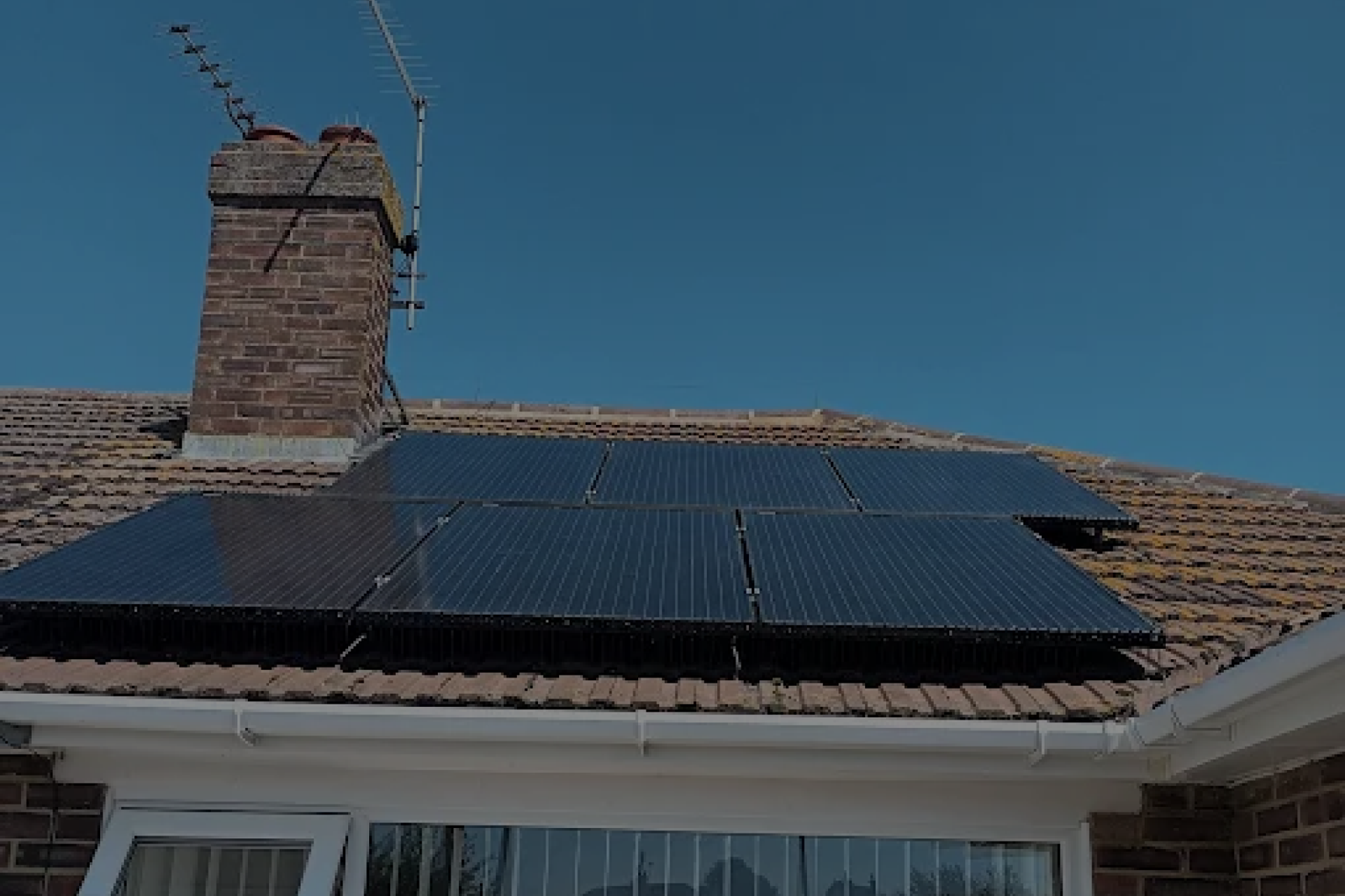Solar Panel Bird Proofing Cost
