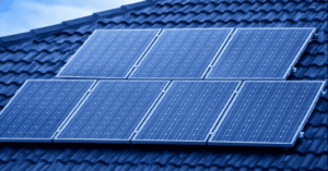 How Much Does Solar Panel Bird Proofing Cost in the UK?
